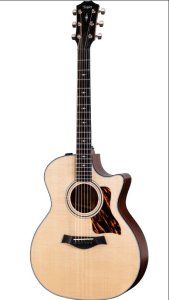 Taylor 314Ce Special SE Rosewood