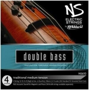 Ns Design Ns5Fl Double Bass