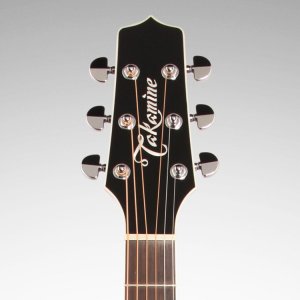 Takamine Ef341Sc Legacy Series