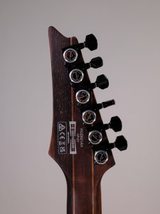 Ibanez RGD621AH Midnight Shade Flat