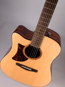 Ibanez AAD170LCELGS Natural Low Gloss Left Hand