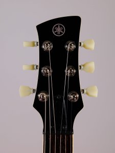 YAMAHA REVSTAR RSS20 USATA
