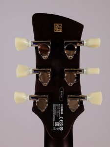 YAMAHA REVSTAR RSS20 USATA