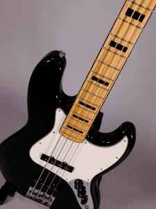 FENDER GEDDY LEE USATO