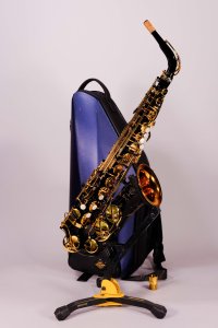 Selmer Supreme SE-ASUB Sax Alto Usato