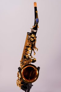 Selmer Supreme SE-ASUB Sax Alto Usato