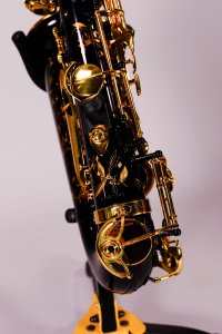 Selmer Supreme SE-ASUB Sax Alto Usato