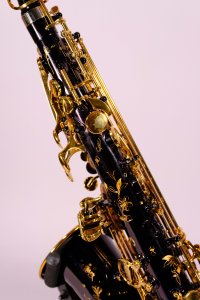 Selmer Supreme SE-ASUB Sax Alto Usato