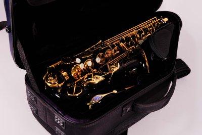 Selmer Supreme SE-ASUB Sax Alto Usato