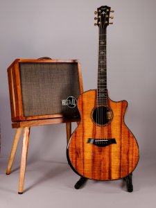 TAYLOR 924CE K LTD  + 74 CIRCA USATO