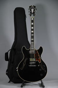 D'Angelico PREMIER DC Black Flake