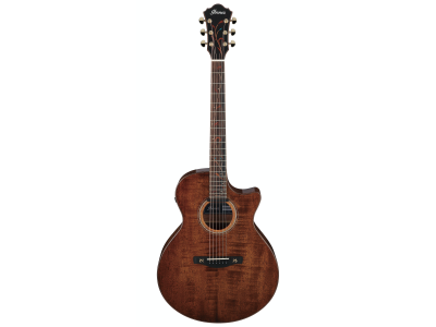 Ibanez AE295 Natural Low Gloss  Electro Acoustic Guitar