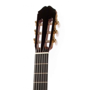 Raimundo 129 Cocobolo Cedar Chitarra Classica