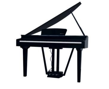 Echord GP10B Pianoforte Codino Digitale Nero Lucido