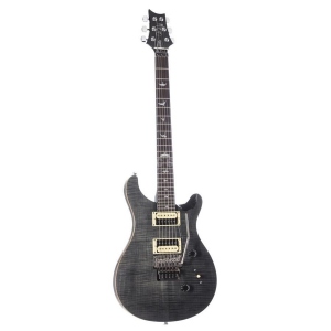 Prs Custom 24 Floyd Birds Tr3Wb Gray