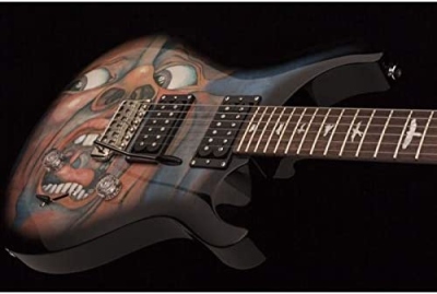 Prs Se Standard 24 Schizoid Chitarra Elettrica