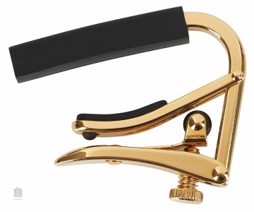 Shubb Capo Royale C1 Gold for Steel-String Acoustic and Electric Guitars
