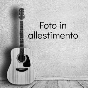 Gibson Case originale sagomato black Usato