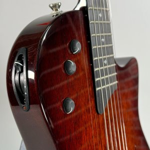 taylor t5z classic dlx usata