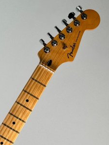 Fender Stratocaster Player Plus Usata