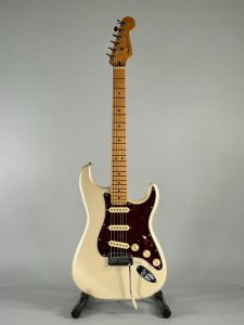 Fender Stratocaster Player Plus Usata