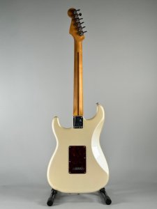 Fender Stratocaster Player Plus Usata