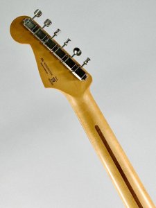 FENDER STRATO PLAYER II USATA