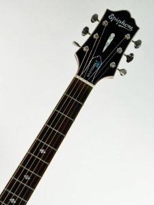 EPIPHONE DR-500CE MASTERBUILD USATA