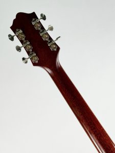 EPIPHONE DR-500CE MASTERBUILD USATA