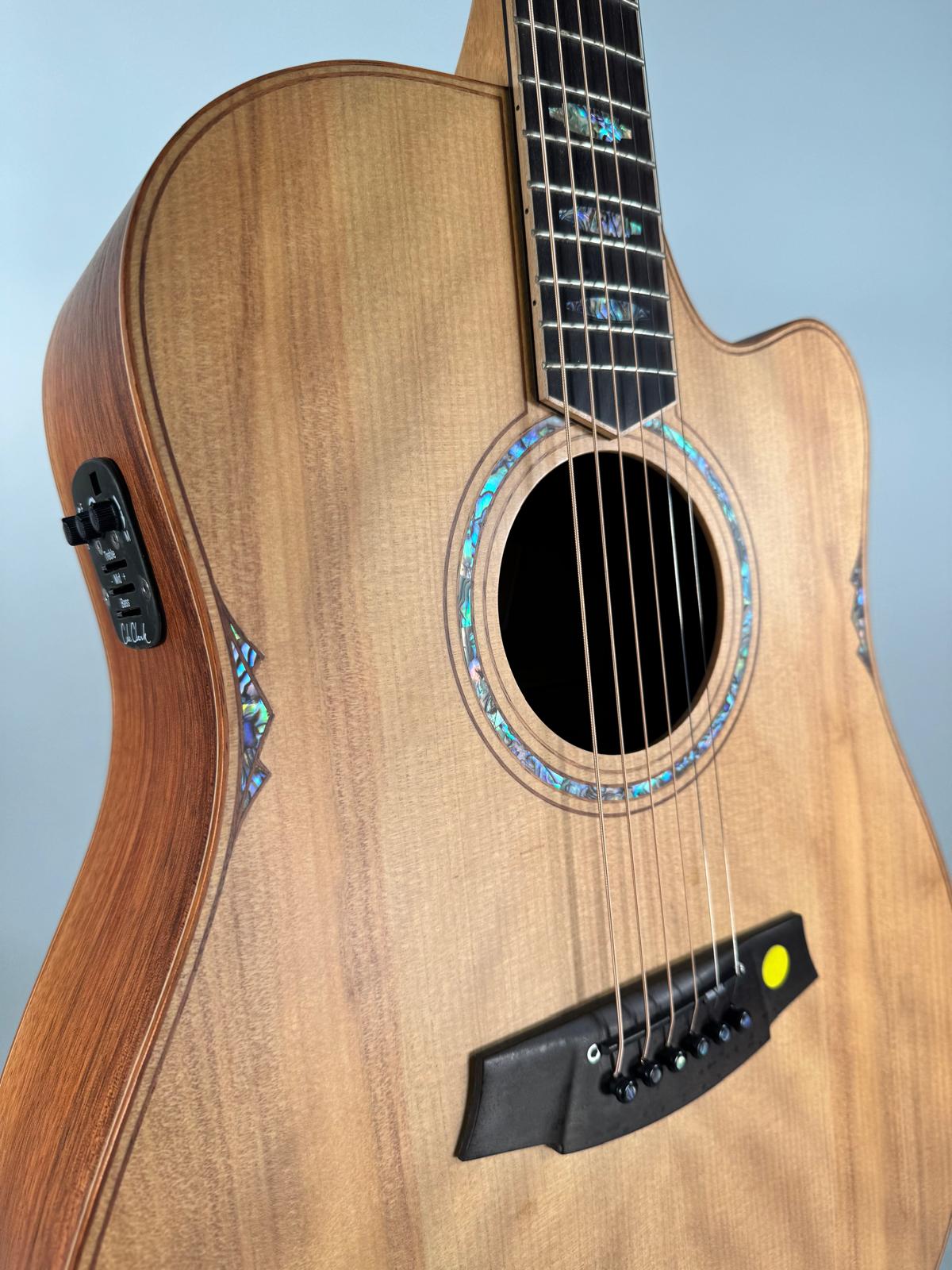 Cole Clark Fat Lady 3 Dreadnought Cutaway Elettrificata