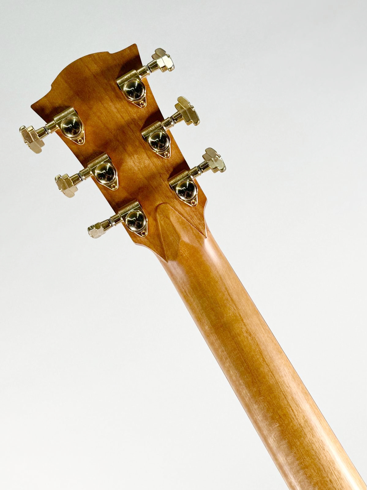 Cole Clark Fat Lady 3 Dreadnought Cutaway Elettrificata