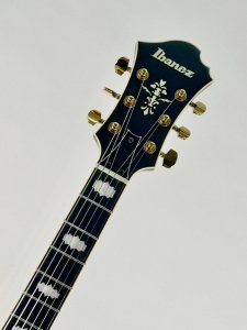 IBANEZ PM3C BLACK USATA