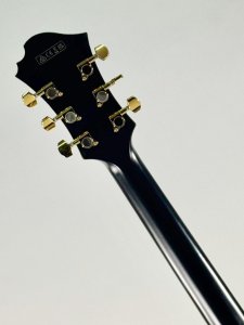 IBANEZ PM3C BLACK USATA