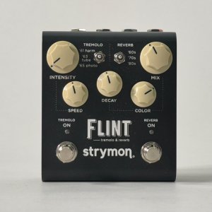 strymon flint usato