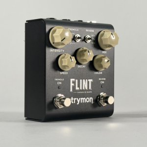 strymon flint usato