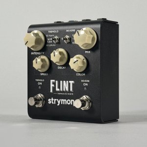 strymon flint usato
