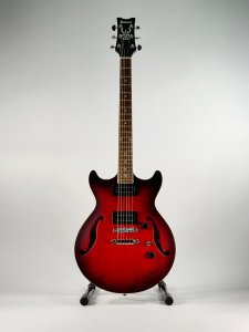 IBANEZ AM53 USATA