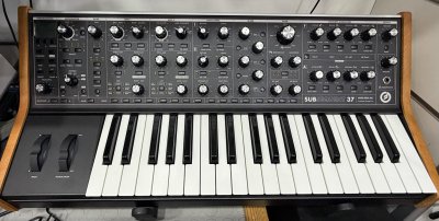 Moog Subsequent 37 Usato