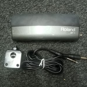 Roland BT1 Usato