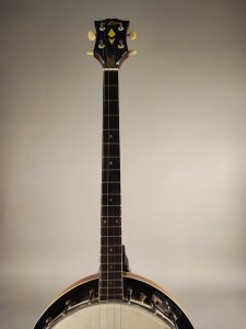 aria banjo japan 4c usato