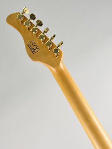 Sire guitars S10 hss trans green