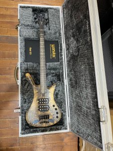 WARWICK CORVETTE $$ LTD USATO