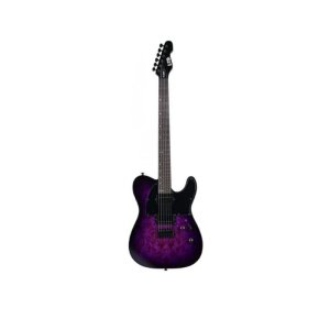 LTD TE-200DX - Purple Burst