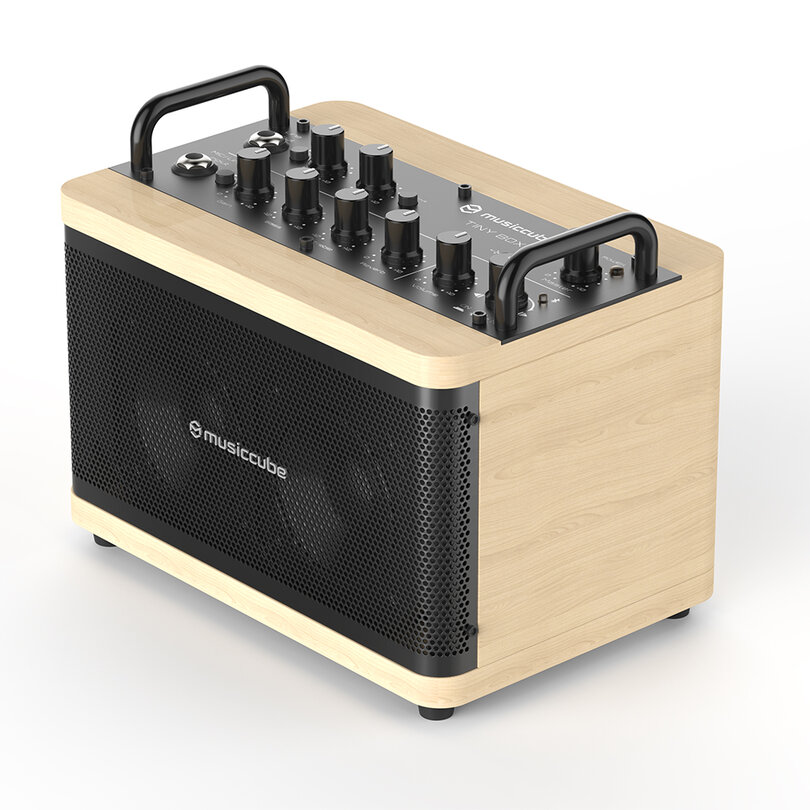 Musiccube Tiny Box D2 Oak 50W Portatile