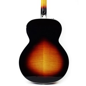 Takamine Nex Elet Pro 6 Series Brown Sunburst