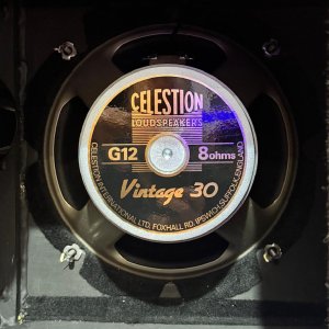 DRAGOON CASSA 2X12 USATA