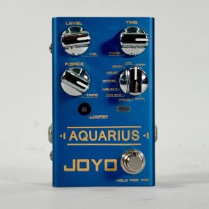 JOYO ACQUARIUS USATO