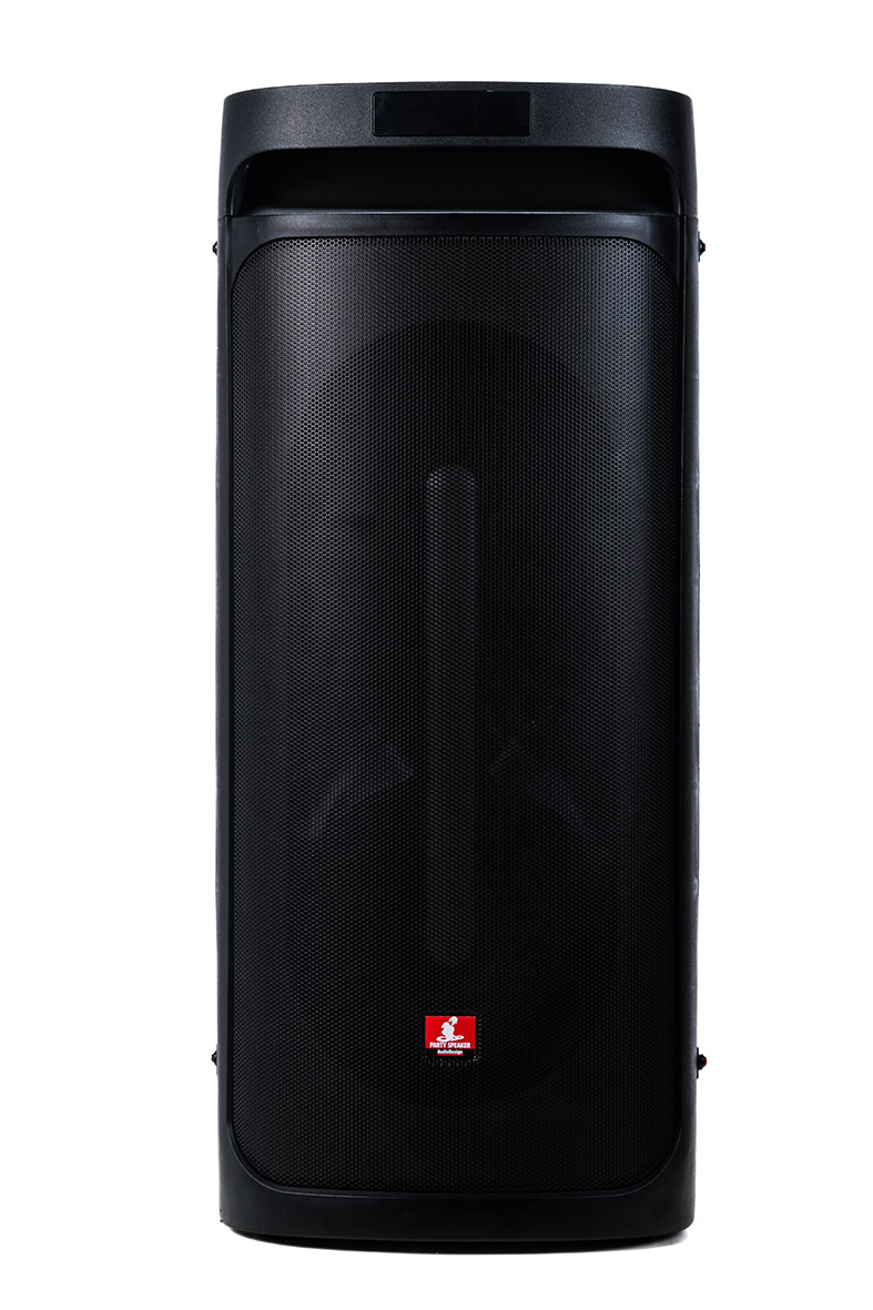 Audiodesign Diffusore Portatile DJ 208 2X8'