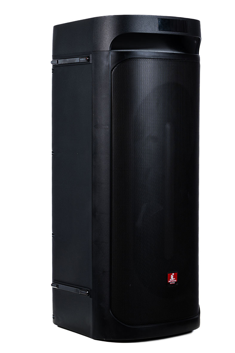 Audiodesign Diffusore Portatile DJ 208 2X8'