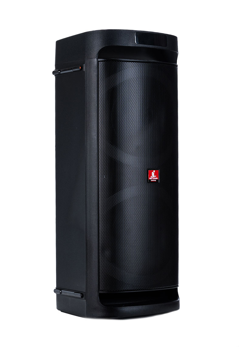 Audiodesign Diffusore Portatile DJ 206 2X6,5'